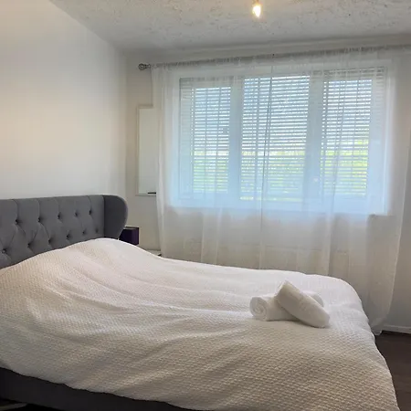 Homestay szállás Downtown Delight
